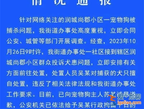 寵物犬被抓走宰殺，處置人員被行拘，以下是抓捕寵物狗[宰殺]？