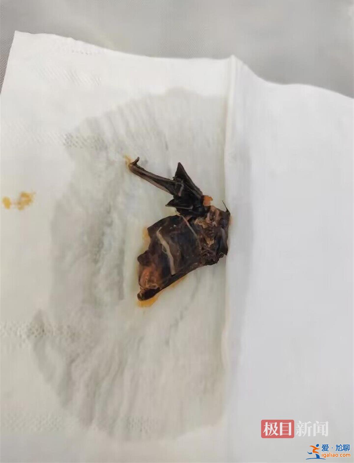 消費(fèi)者稱在楊國(guó)福自熱麻辣燙中疑似吃出蝙蝠 商家回應(yīng)？