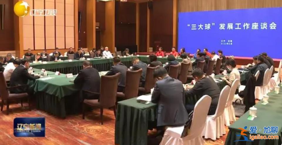 “凈化生態(tài)、鐵腕反腐”！足球大省開(kāi)會(huì) 原國(guó)足隊(duì)員孫繼海、肇俊哲參會(huì)？