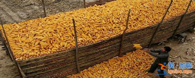 豆粕玉米怎么樣了 雙雙變天 玉米量增價(jià)落 豆粕顯著下跌？