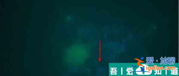 賽博朋克2077九尾X？