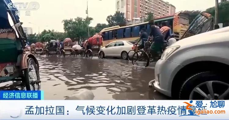 孟加拉國(guó)登革熱疫情已致1628人死亡 嚴(yán)重程度創(chuàng)歷史之最？