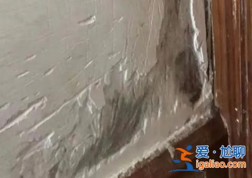 房東出租兩月的房子為什么會(huì)被“扒皮”遭到寵物狗破壞[破壞]？