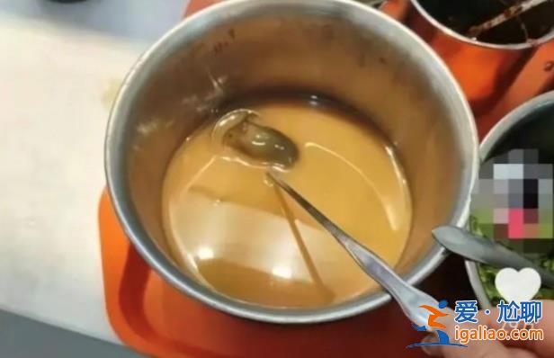 揚(yáng)州某學(xué)校食堂為什么會有老鼠，在食堂麻醬盆中發(fā)現(xiàn)的[麻醬盆]？