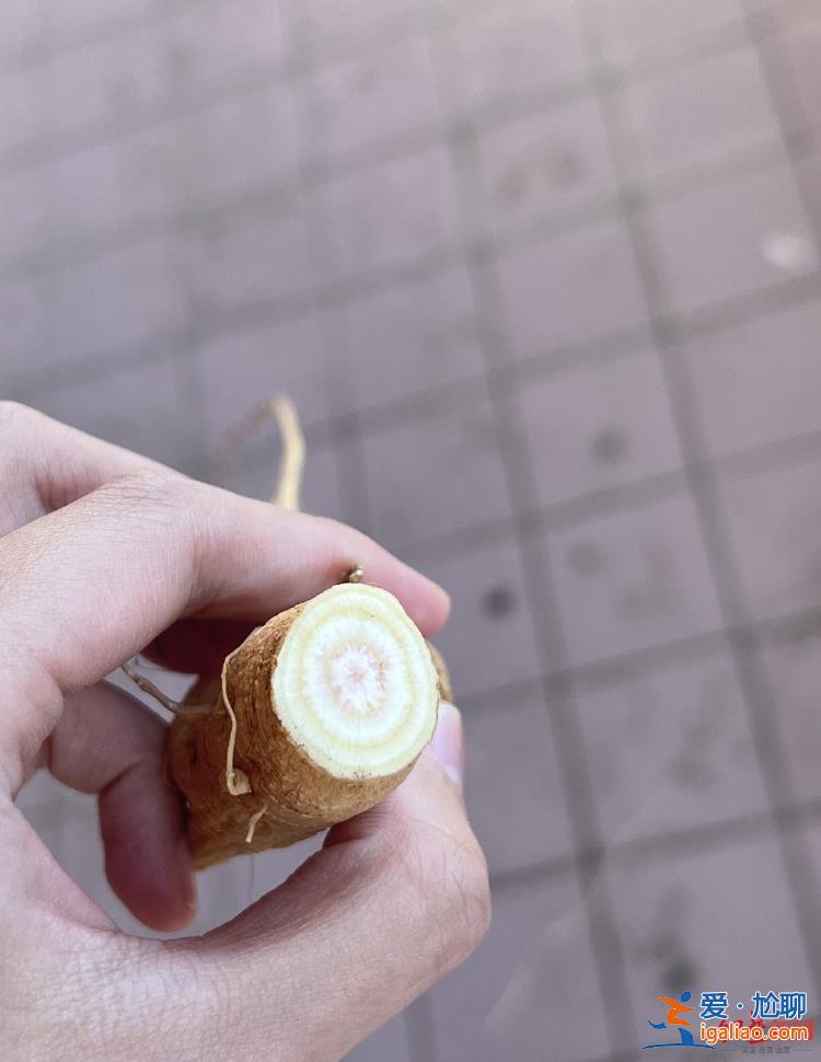 實(shí)際上是中毒反應(yīng)？
