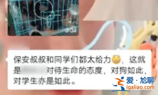 高校為了救狗放掉了護(hù)校河的水？