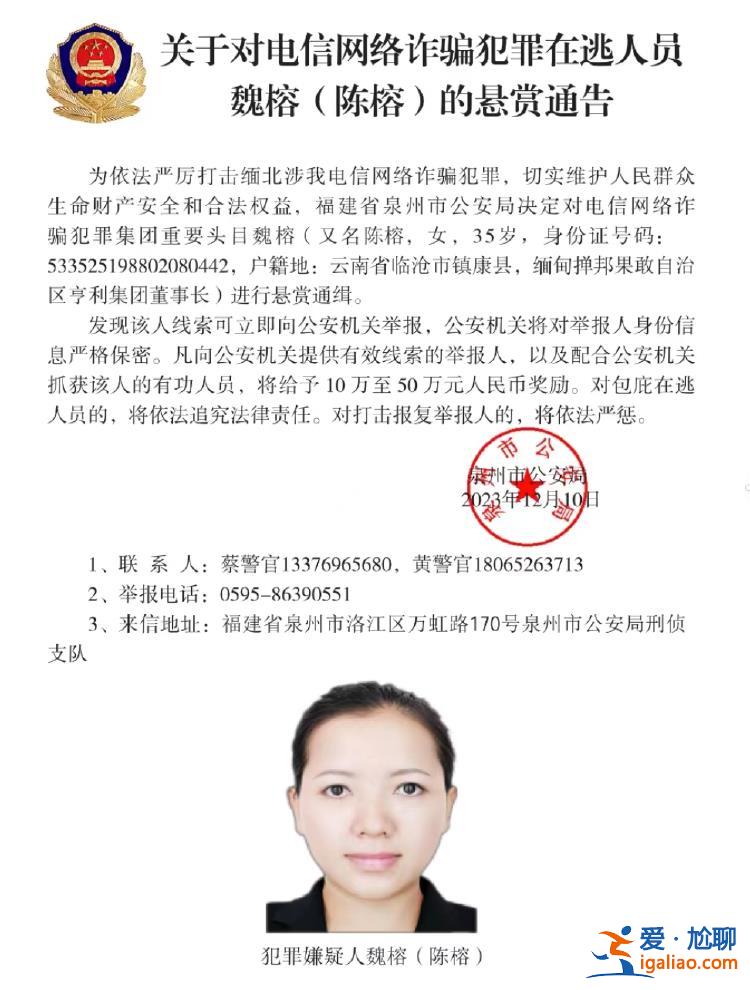 74歲緬北果敢自治區(qū)原主席、2名女董事長等10人？