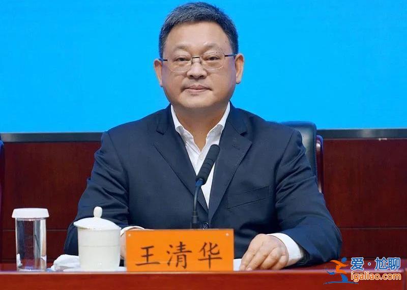 結(jié)交政治騙子！武漢原副市長(zhǎng)王清華被處理 被拿下前3天還出席活動(dòng)？