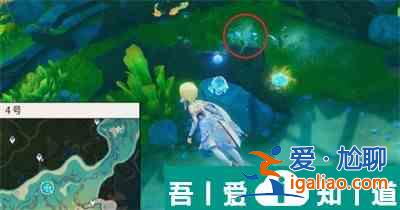 原神4.2新增鰻魚寶箱位置在哪里 位置分布一覽？