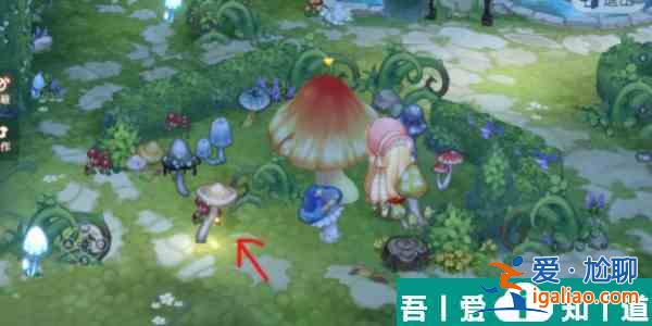 奧比島夢(mèng)想國(guó)度許愿池怎么刷星星 奧比島夢(mèng)幻國(guó)度許愿池星星獲取方法？