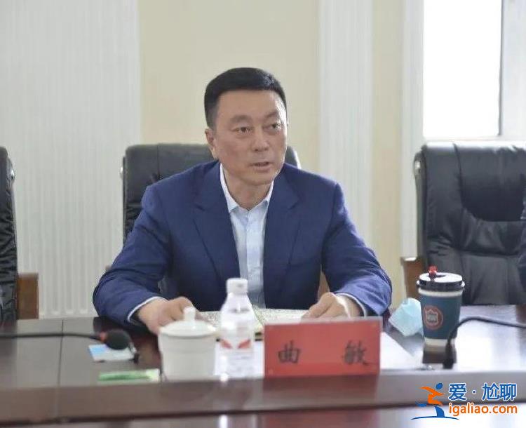 連打三虎、處分三虎 多虎被捕被訴被判刑？