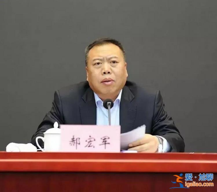 連打三虎、處分三虎 多虎被捕被訴被判刑？