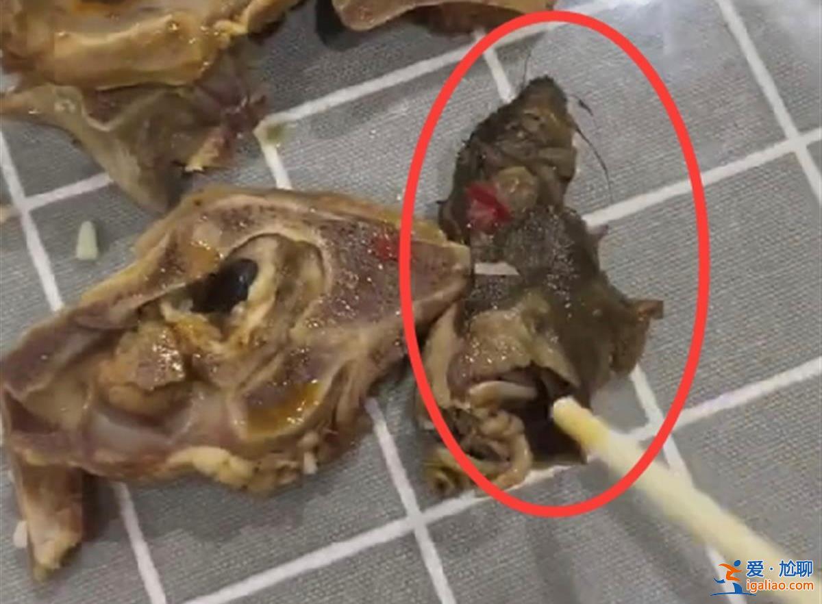 羊肉火鍋外賣中吃出半截老鼠是真的嗎相關(guān)科室介入調(diào)查[半截老鼠]？