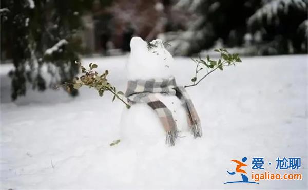 第一批堆雪人的已經(jīng)卷起來了嗎，一整個震撼住[一整個震撼住]？