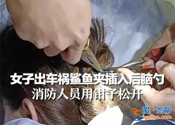 女子出車禍鯊魚夾為何會插入后腦勺，夾子為什么插入后腦[插入后腦]？
