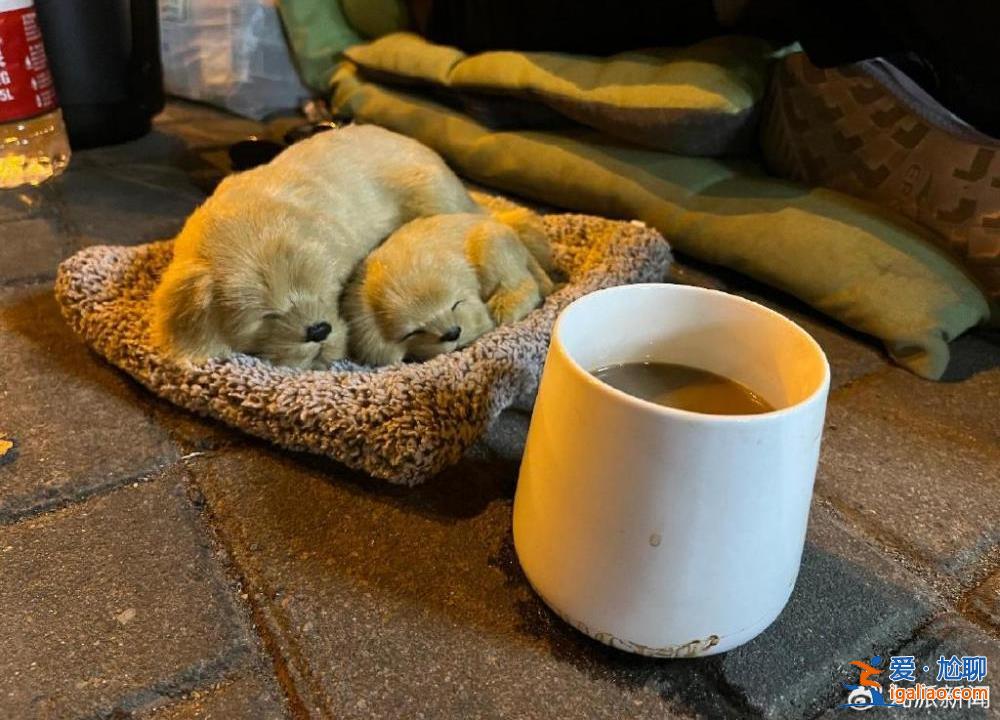 被指像丐幫 有主播稱最高月入十萬？