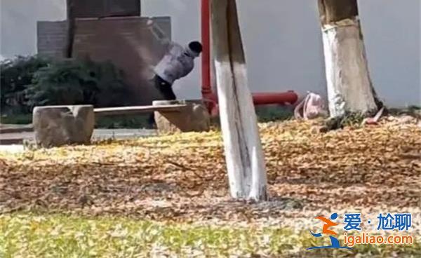 男生校內(nèi)拳打女友是真的嗎 校方回應(yīng)是情侶糾紛嗎？
