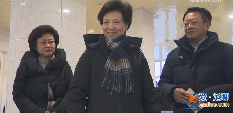 諶貽琴時(shí)隔兩個(gè)月再赴東北 又一次關(guān)注這項(xiàng)重要工作？