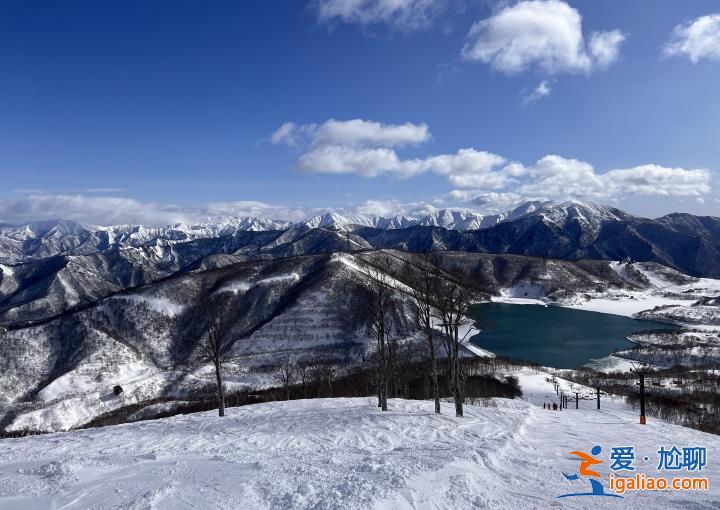 遇難者摔倒后吸入“粉雪”窒息？