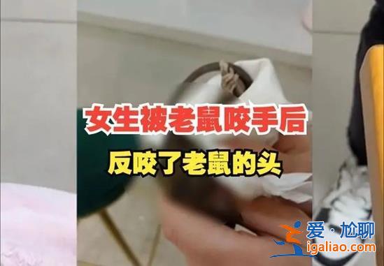 女生被老鼠咬傷手后為何反咬老鼠，如何防止老鼠咬傷[防止老鼠咬傷]？