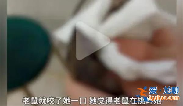 女子遭老鼠咬傷后反咬一口？