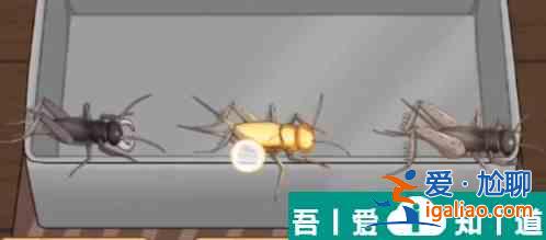 沙雕出擊電子斗蛐蛐怎么過 沙雕出擊電子斗蛐蛐通關(guān)攻略？
