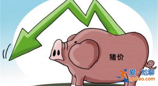 豬價(jià)跌入歷史冰點(diǎn)，何時(shí)迎轉(zhuǎn)機(jī)，豬價(jià)跌到“底”了嗎[豬價(jià)是否到底]？