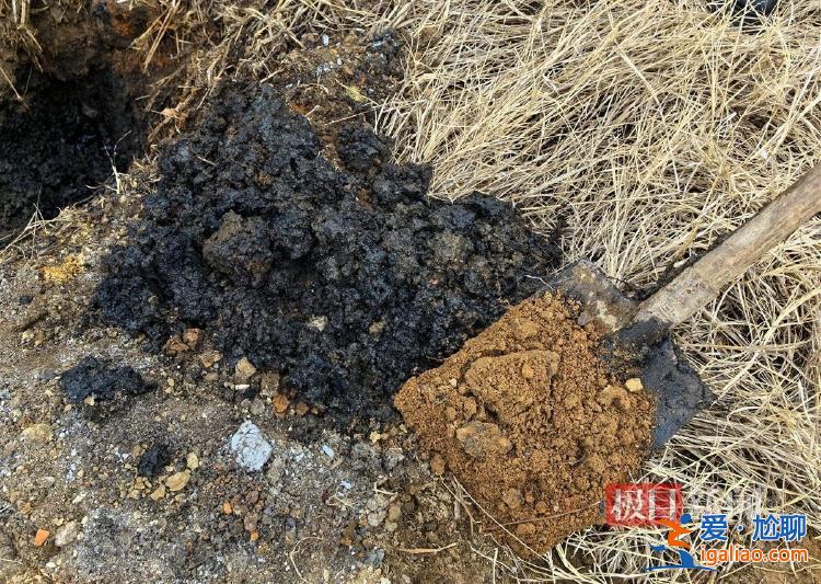 江蘇東海縣一水庫庫區(qū)被填埋大量黑色固廢 現(xiàn)場散發(fā)惡臭 有人被拘留？