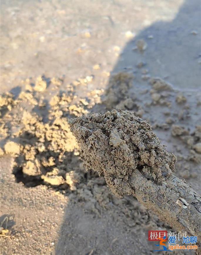 江蘇東?？h一水庫庫區(qū)被填埋大量黑色固廢 現(xiàn)場散發(fā)惡臭 有人被拘留？