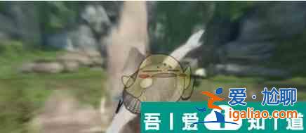 逆水寒手游白猿公八蛸木怎么獲取 獲取攻略？