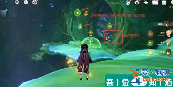 原神通往黯道的曲調(diào)三個(gè)草種子位置在哪里 位置一覽？
