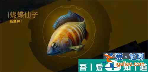 星球重啟釣魚震動怎么關(guān)閉 釣魚震動關(guān)閉方法一覽？