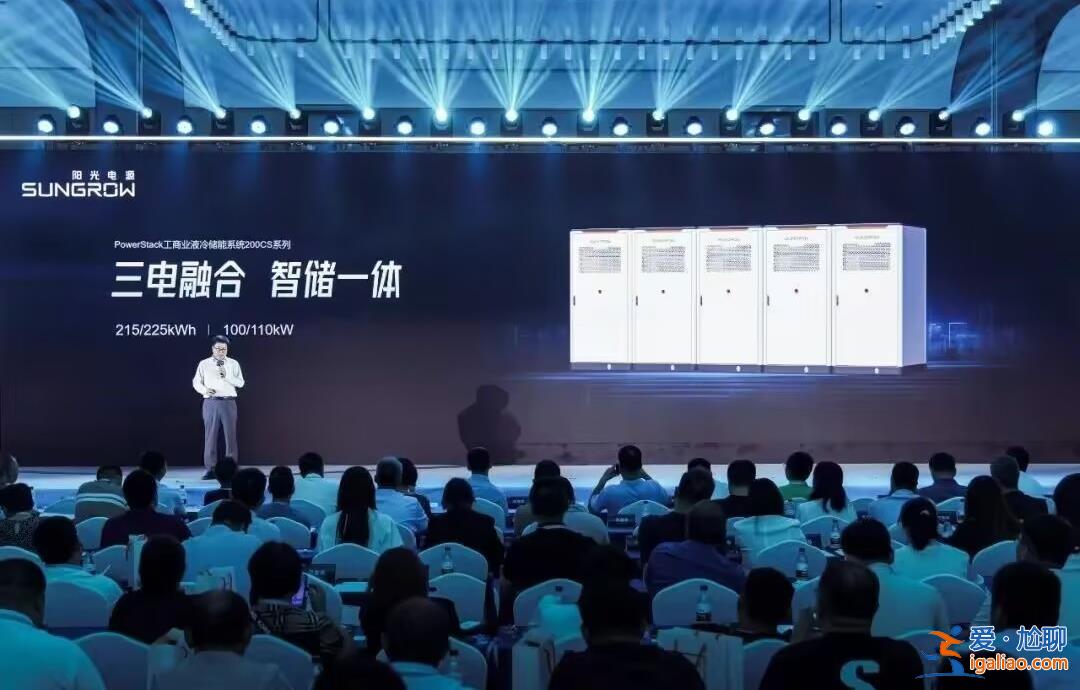 全球光儲(chǔ)巨頭發(fā)力國內(nèi)工商業(yè)儲(chǔ)能市場 陽光電源有何舉動(dòng)？