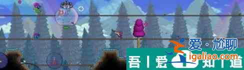 泰拉瑞亞鯊魚鰭怎么獲取 鯊魚鰭獲取方法？