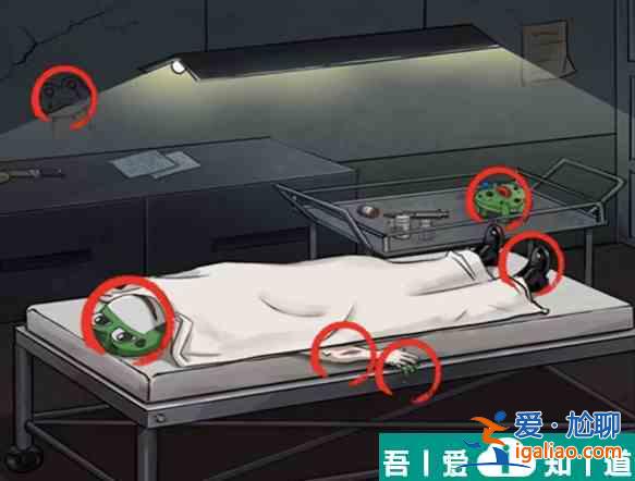 看你怎么秀蛙蛙尸間通關(guān)攻略 具體一覽？