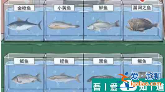這不是漢字幫助高啟墻打理好販魚攤通關攻略 具體一覽？