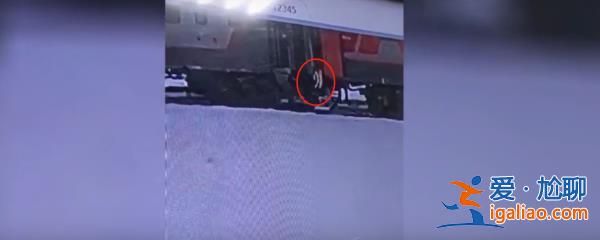 “重大丑聞”！俄羅斯一寵物貓被列車員扔下火車后死亡 俄鐵道歉？
