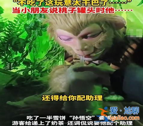 游客給悟空喂雪餅被嫌棄太干不吃 真的不好吃么？