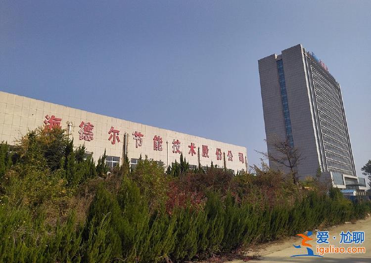 山東一明星企業(yè)老板涉非法集資被判刑 當(dāng)?shù)貒?guó)企兜底投資人損失？