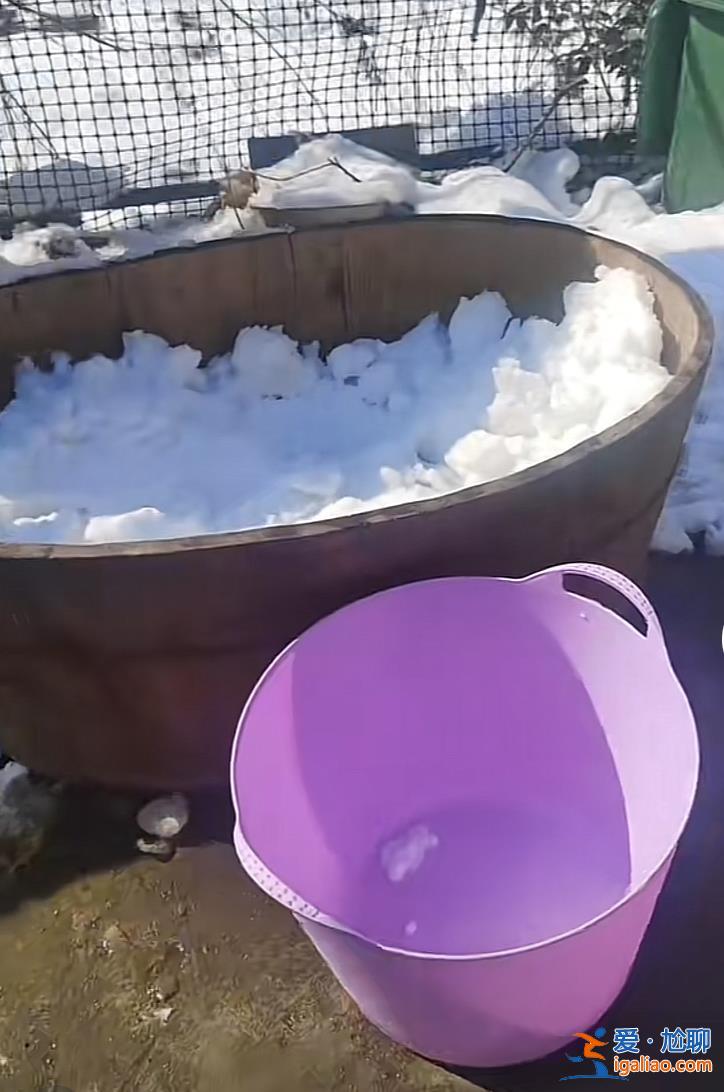 湖南暴雪一日？