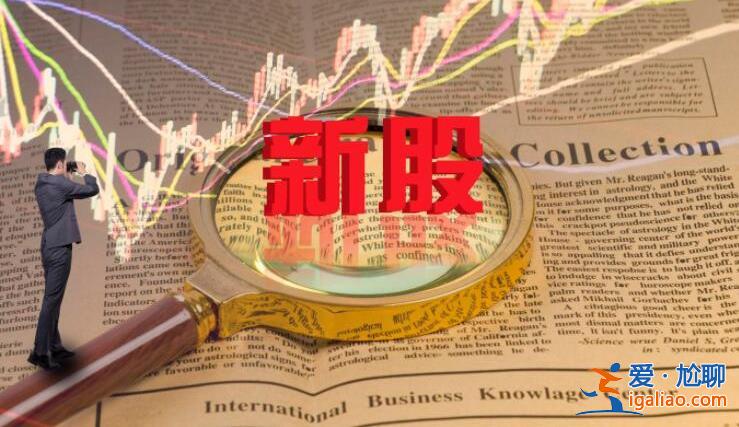 新股的漲幅為何是44%  原因分析如下？