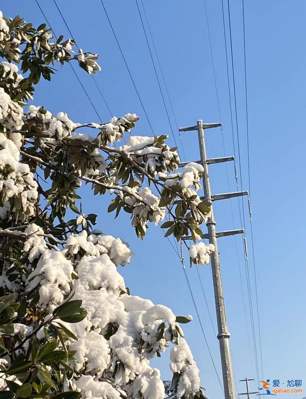 湖南暴雪一日？