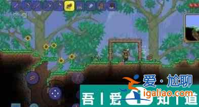 泰拉瑞亞蓋的房子怎么拆 具體一覽？