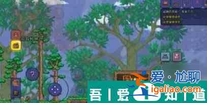 泰拉瑞亞蓋的房子怎么拆 具體一覽？