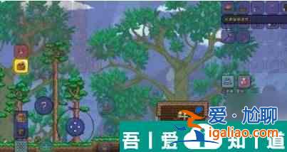 泰拉瑞亞蓋的房子怎么拆 具體一覽？