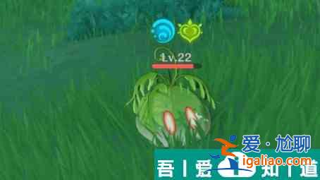 原神草史萊姆位置介紹 具體一覽？
