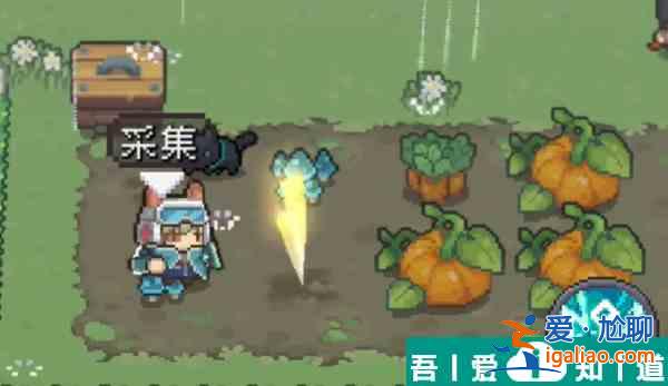 元?dú)怛T士前傳南瓜在哪 元?dú)怛T士前傳南瓜獲取位置介紹？