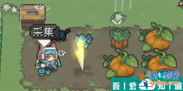 元?dú)怛T士前傳南瓜在哪 元?dú)怛T士前傳南瓜獲取位置介紹？