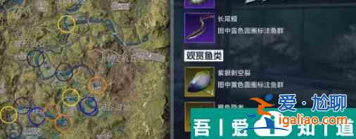 星球重啟紫眼刺空裂魚位置 具體一覽？