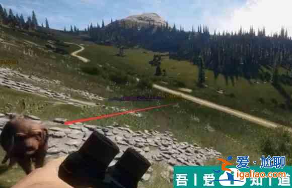 獵人荒野的召喚狗怎么用 獵人荒野的召喚獵狗使用方法？